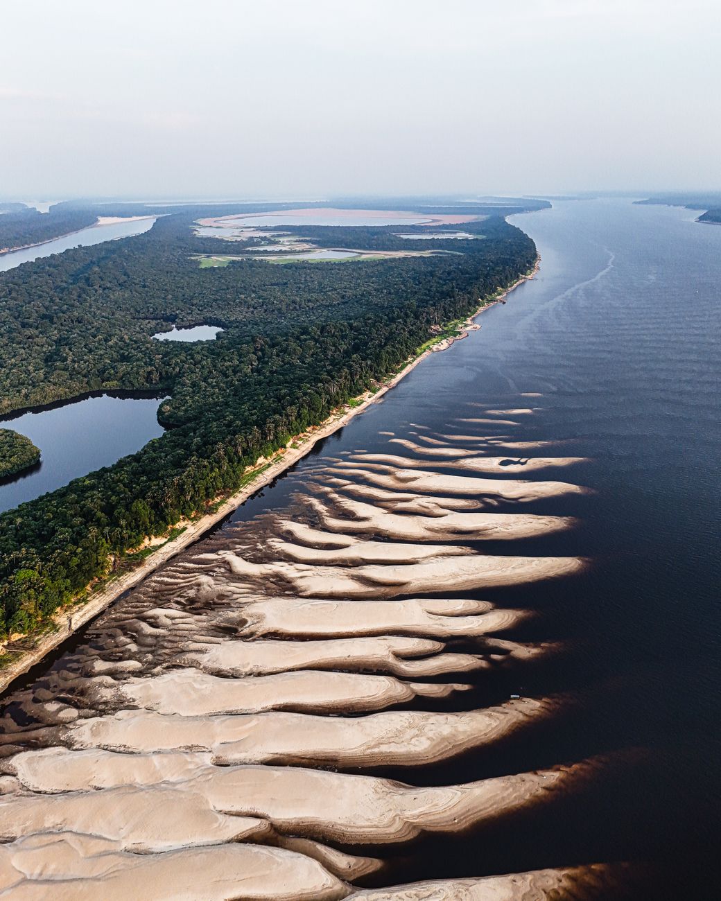 Natureza exuberante e floresta no Brasil
