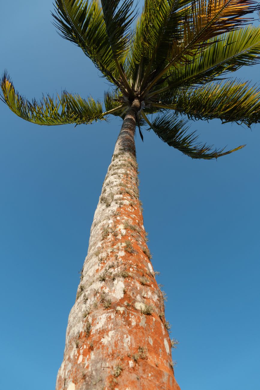 Praia de Trancoso Bahia